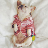 Summer Soft Silk French Bulldog Pajamas – Pet Sleepwear for Small Dogs and Cats