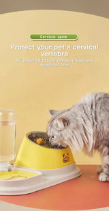 Cat Food Water Bowl, Triple Cats Bowls with Mat and Scoop, 15° Tilted Raised Cat Bowl Dishes with Automatic Water Bottle for Cats & Small Dogs